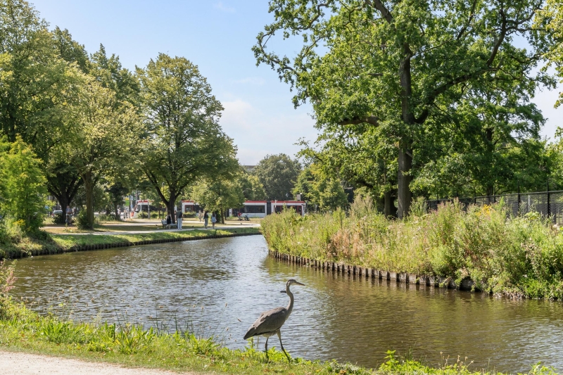 <span>'s-gravenhage</span>Anna van Buerenplein 201