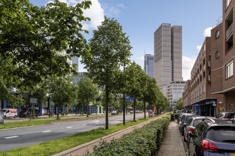 <span>Rotterdam</span>Zijdewindestraat 27A