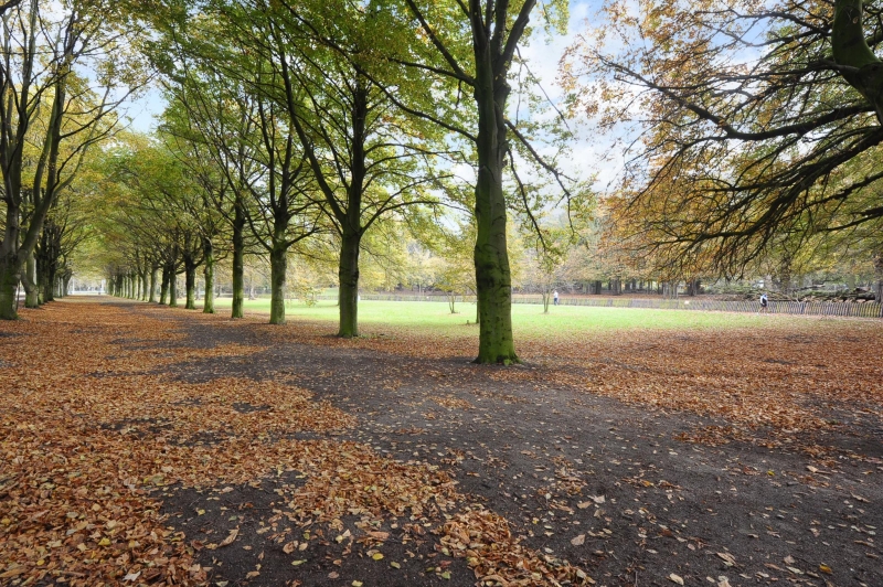 <span>'s-gravenhage</span>Anna van Buerenplein 203